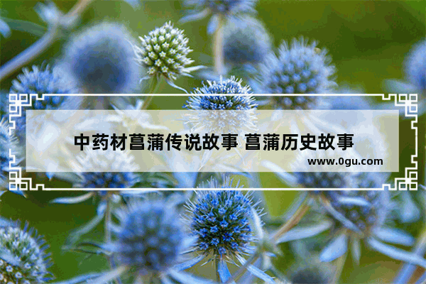 中药材菖蒲传说故事 菖蒲历史故事