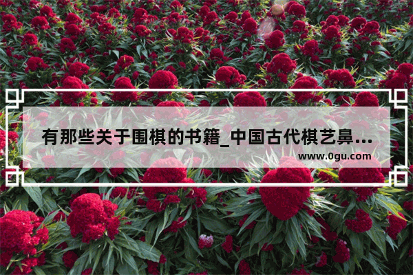 有那些关于围棋的书籍_中国古代棋艺鼻祖是谁
