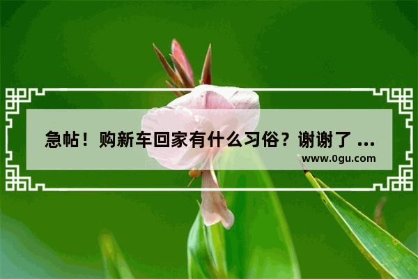 急帖！购新车回家有什么习俗？谢谢了 提新车习俗