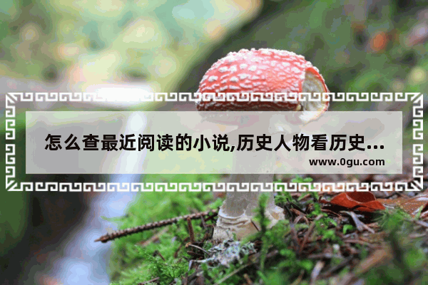 怎么查最近阅读的小说,历史人物看历史的小说软件
