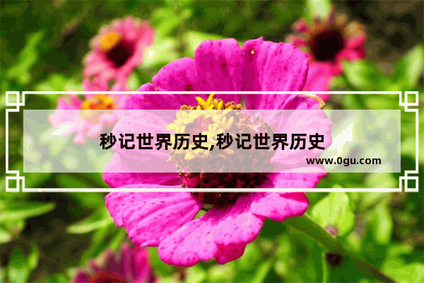 秒记世界历史,秒记世界历史