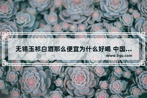 无锡玉祁白酒那么便宜为什么好喝 中国历史悠久物价低