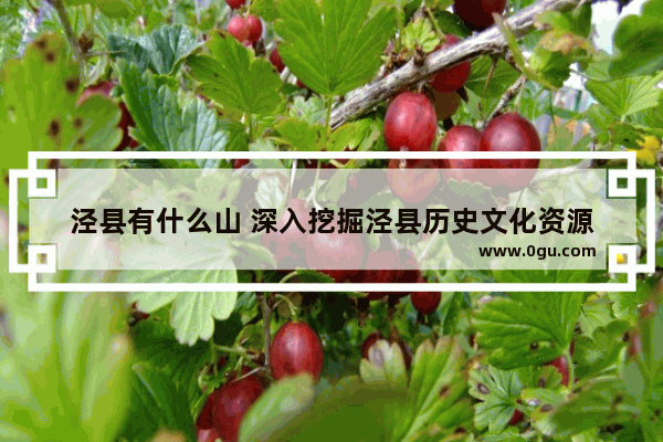 泾县有什么山 深入挖掘泾县历史文化资源