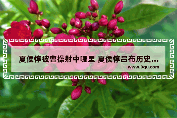 夏侯惇被曹操射中哪里 夏侯惇吕布历史故事