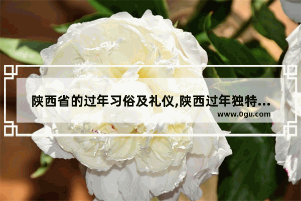 陕西省的过年习俗及礼仪,陕西过年独特习俗