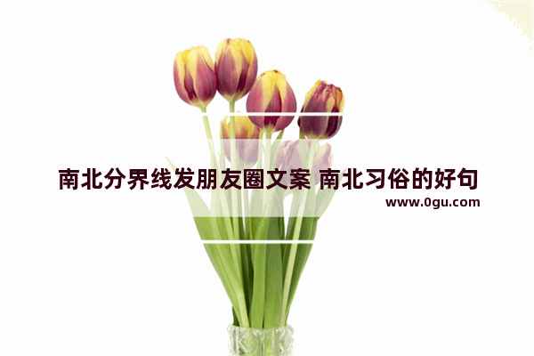 南北分界线发朋友圈文案 南北习俗的好句
