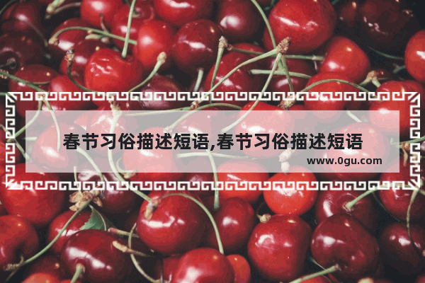 春节习俗描述短语,春节习俗描述短语