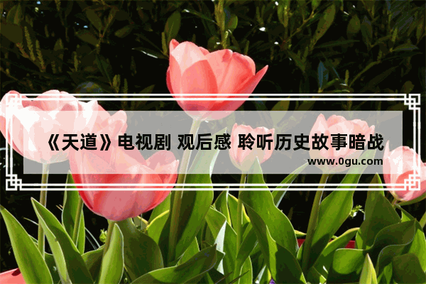 《天道》电视剧 观后感 聆听历史故事暗战感悟