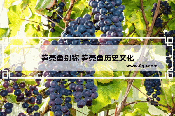 笋壳鱼别称 笋壳鱼历史文化