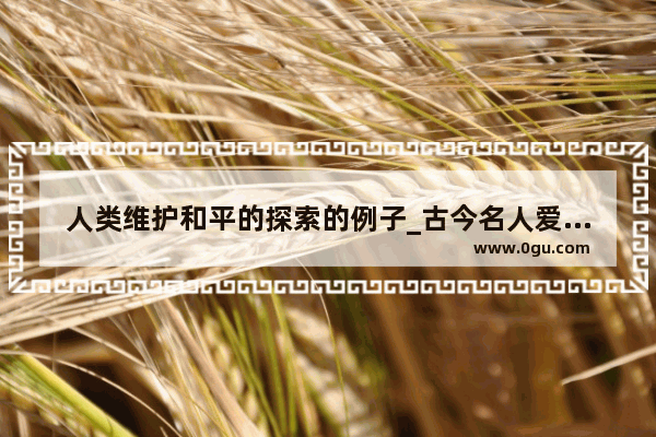 人类维护和平的探索的例子_古今名人爱国的事迹