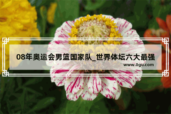 08年奥运会男篮国家队_世界体坛六大最强团体组合