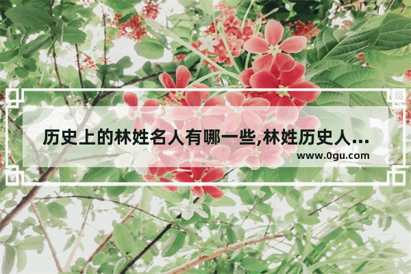 历史上的林姓名人有哪一些,林姓历史人物及事迹