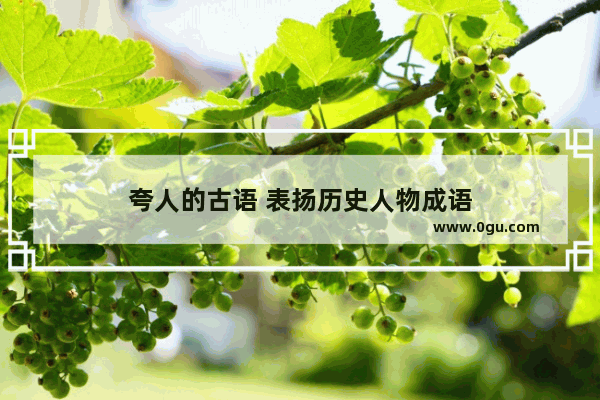 夸人的古语 表扬历史人物成语