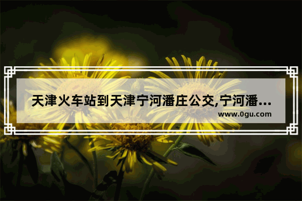 天津火车站到天津宁河潘庄公交,宁河潘庄镇历史人物