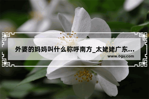 外婆的妈妈叫什么称呼南方_太姥姥广东叫法