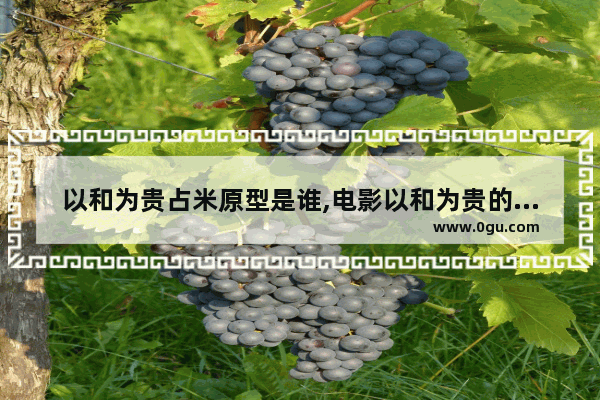 以和为贵占米原型是谁,电影以和为贵的历史故事