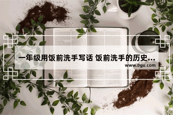一年级用饭前洗手写话 饭前洗手的历史故事