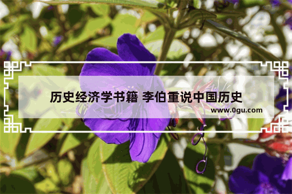 历史经济学书籍 李伯重说中国历史