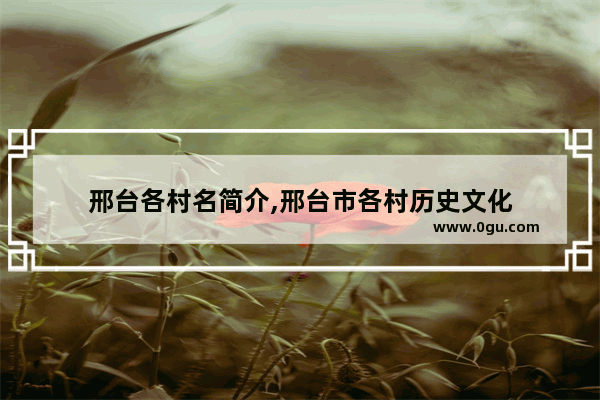邢台各村名简介,邢台市各村历史文化