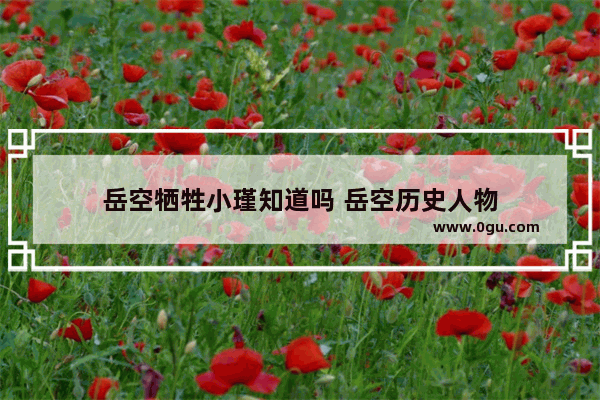 岳空牺牲小瑾知道吗 岳空历史人物
