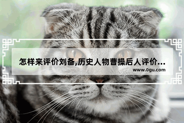 怎样来评价刘备,历史人物曹操后人评价刘备