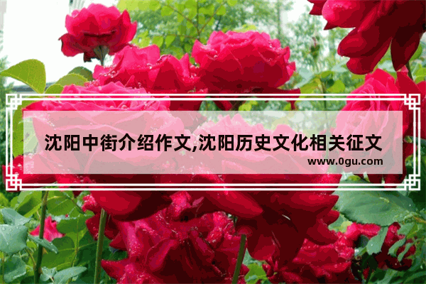 沈阳中街介绍作文,沈阳历史文化相关征文