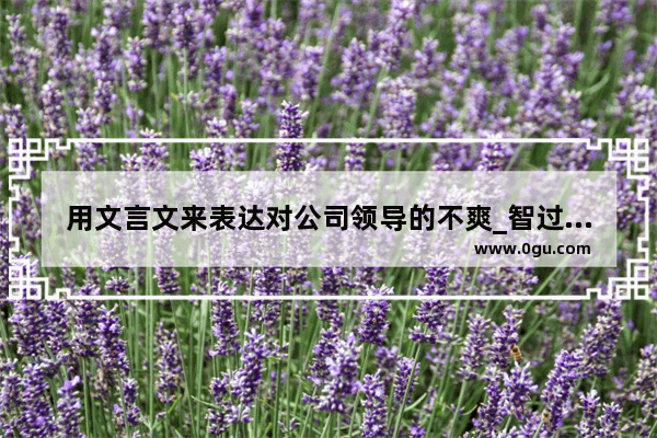 用文言文来表达对公司领导的不爽_智过昭关历史人物