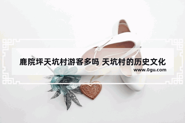 鹿院坪天坑村游客多吗 天坑村的历史文化
