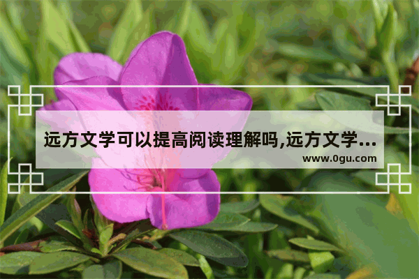 远方文学可以提高阅读理解吗,远方文学世界历史