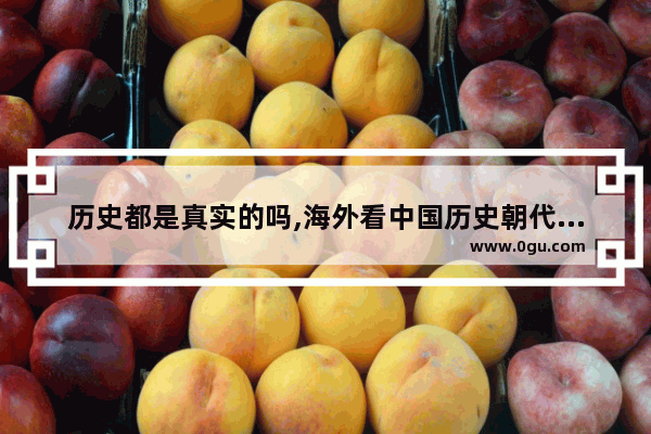 历史都是真实的吗,海外看中国历史朝代视频
