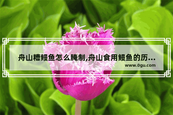 舟山糟鳗鱼怎么腌制,舟山食用鳗鱼的历史故事