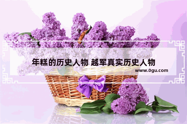 年糕的历史人物 越军真实历史人物