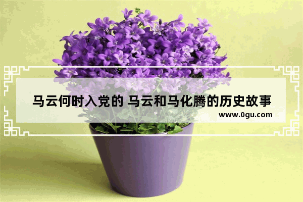 马云何时入党的 马云和马化腾的历史故事