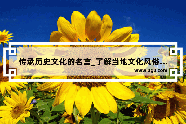传承历史文化的名言_了解当地文化风俗历史的名人名言