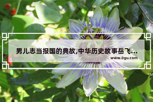 男儿志当报国的典故,中华历史故事岳飞报国