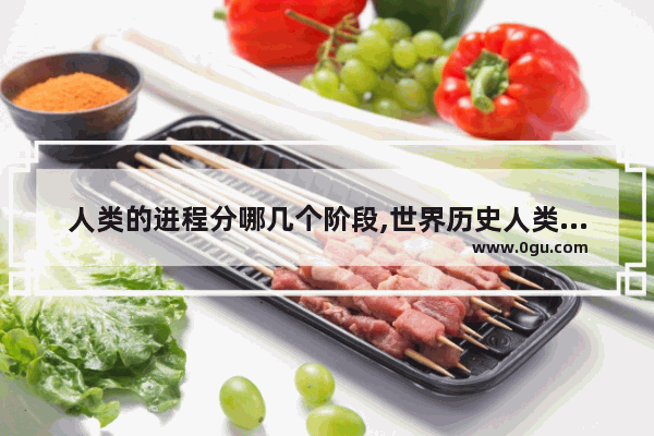 人类的进程分哪几个阶段,世界历史人类进程
