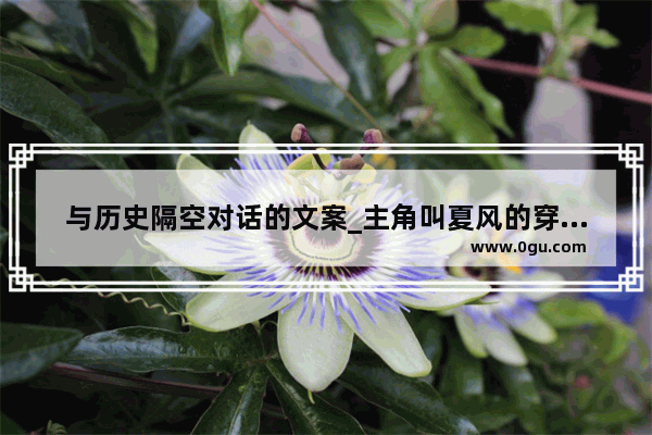与历史隔空对话的文案_主角叫夏风的穿越古今的小说