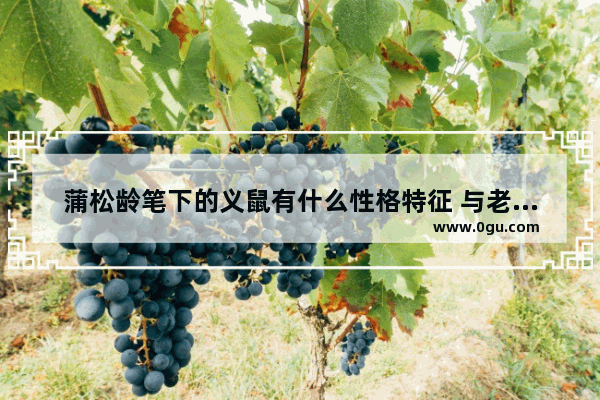 蒲松龄笔下的义鼠有什么性格特征 与老鼠的历史人物关系