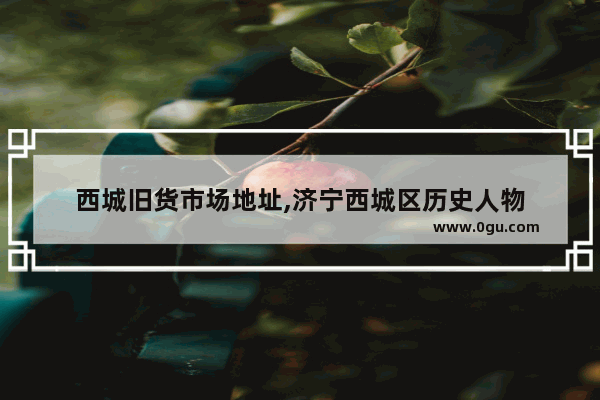 西城旧货市场地址,济宁西城区历史人物