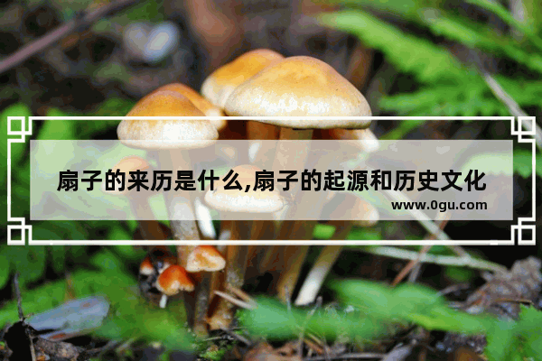 扇子的来历是什么,扇子的起源和历史文化
