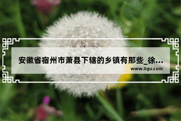 安徽省宿州市萧县下辖的乡镇有那些_徐砀商高速萧县段规划经过那些村