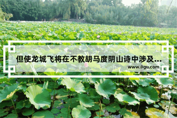 但使龙城飞将在不教胡马度阴山诗中涉及的人物是谁 下列诗句描述的历史人物