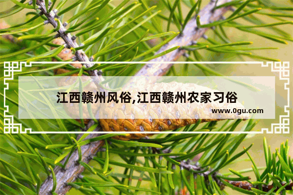 江西赣州风俗,江西赣州农家习俗