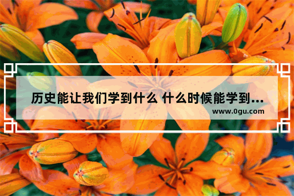 历史能让我们学到什么 什么时候能学到世界历史