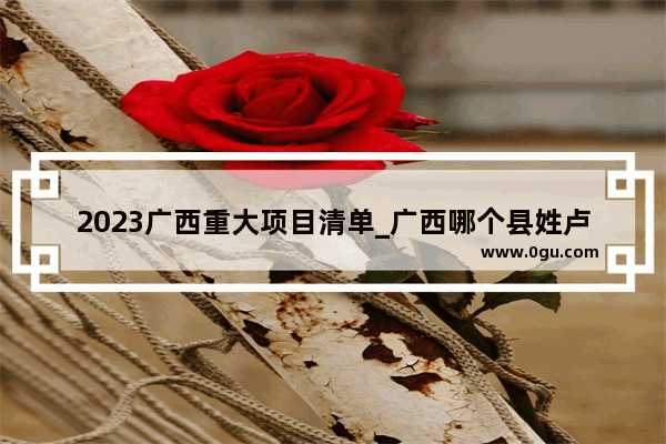 2023广西重大项目清单_广西哪个县姓卢的最多