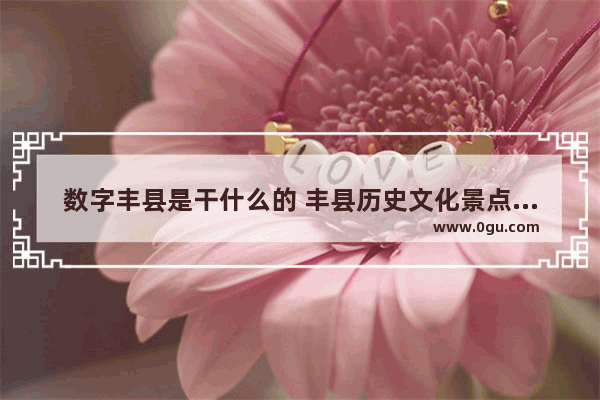 数字丰县是干什么的 丰县历史文化景点简介视频