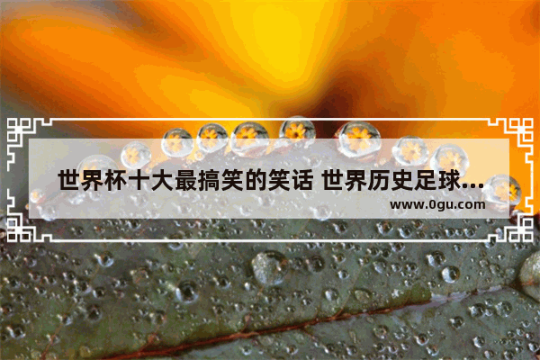 世界杯十大最搞笑的笑话 世界历史足球比赛笑话段子