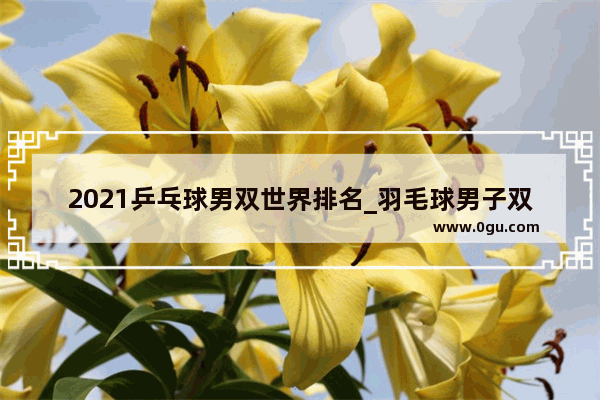 2021乒乓球男双世界排名_羽毛球男子双打世界排名