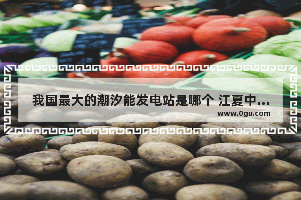 我国最大的潮汐能发电站是哪个 江夏中心港的历史文化