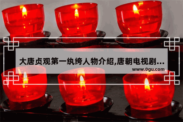 大唐贞观第一纨绔人物介绍,唐朝电视剧历史人物